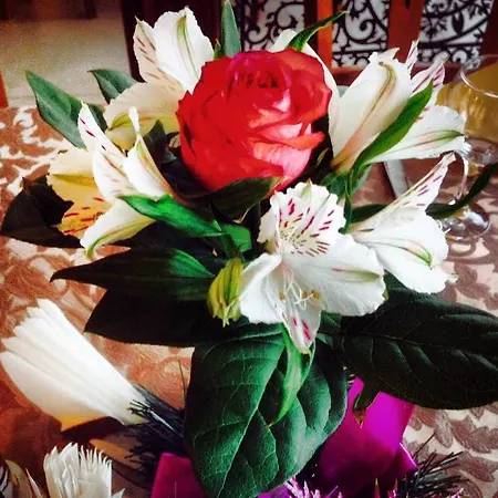 Diesel 부쿠레슈티